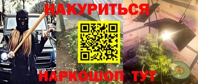 молекула духа Будённовск