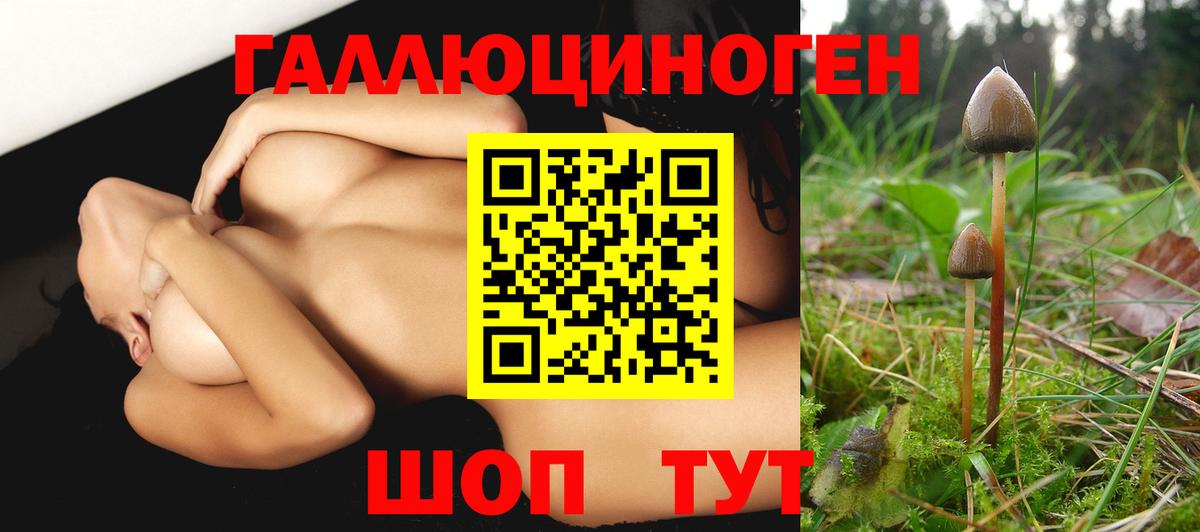 Галлюциногенные грибы мухоморы Бирск