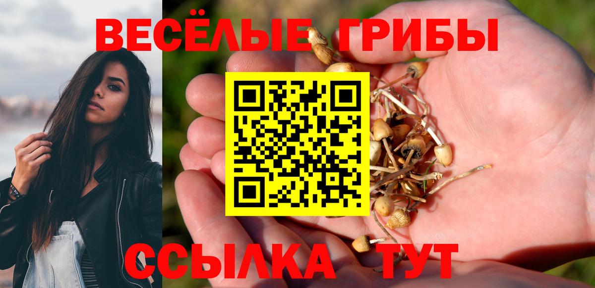 Бирск  Галлюциногенные грибы ЛСД  Вход с VPN  Галлюциногенные грибы мухоморы 